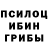 Псилоцибиновые грибы Psilocybe Bein Bein