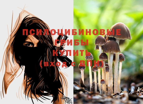 бутират Липки
